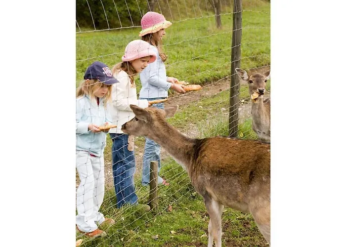Muehlenhof - Riesling 马林诺维德