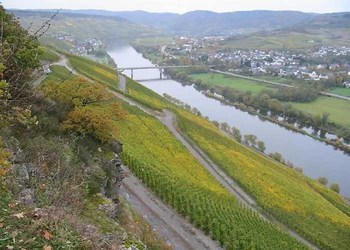 度假居 Muehlenhof - Riesling 马林诺维德