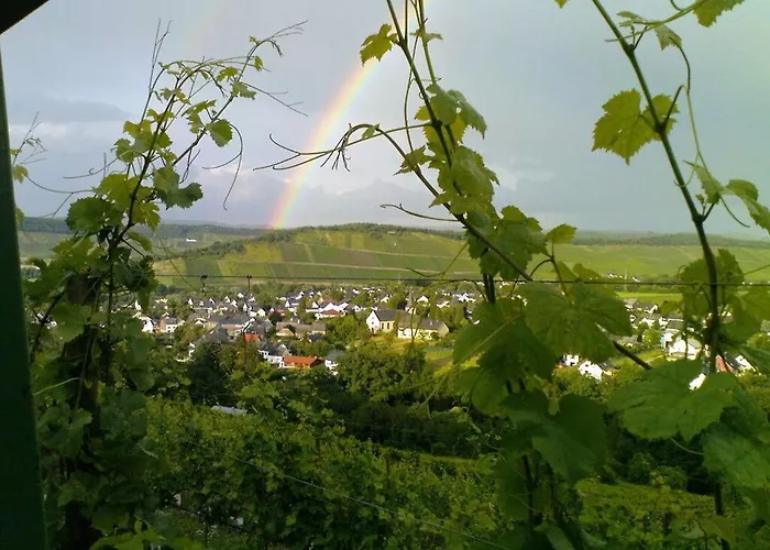 Muehlenhof - Riesling 度假居