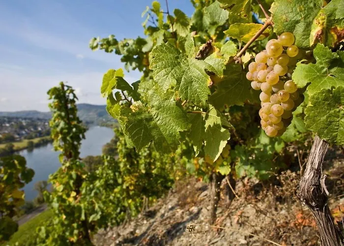 度假居 Muehlenhof - Riesling